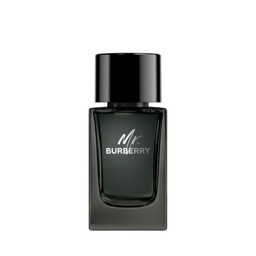 PERFUME BURBERRY HOMBRE MR BURBERRY EDP