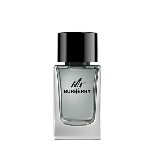 PERFUME BURBERRY HOMBRE MR BURBERRY EDT